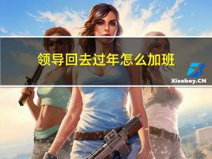 领导回去过年怎么加班