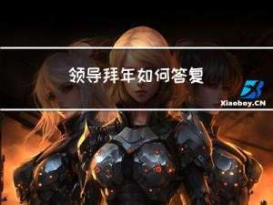 领导拜年如何答复