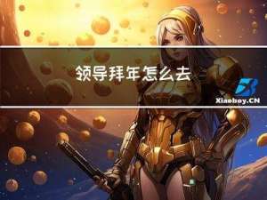 领导拜年怎么去