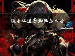 领导让过年加班怎么办呢