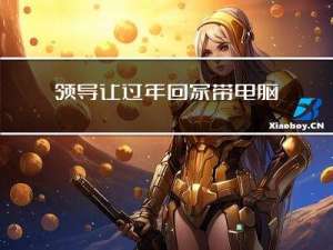 领导让过年回家带电脑