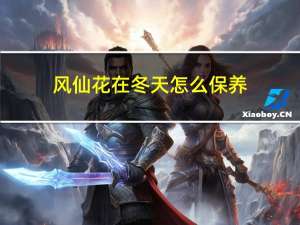 风仙花在冬天怎么保养