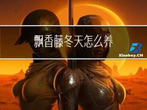 飘香藤冬天怎么养