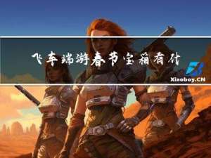 飞车端游春节宝箱有什么