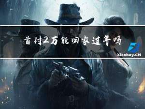 首付2万能回家过年吗