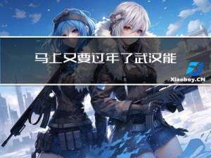 马上又要过年了武汉能去吗