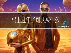 马上过年了可以买什么