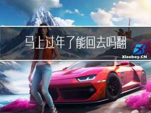 马上过年了能回去吗翻译