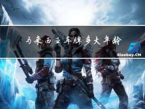 马来西亚车牌多大年龄