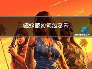 驱蚊草如何过冬天