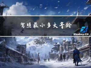 驾照最小多大年龄