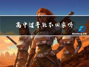 高中过年能不回家吗