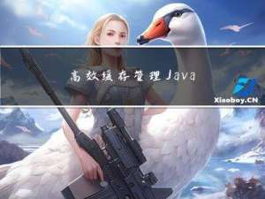 高效缓存管理：Java 实现 LRU 淘汰算法