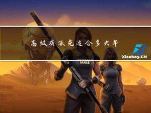 高级灰派克适合多大年纪