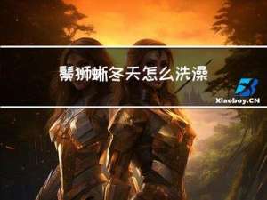 鬃狮蜥冬天怎么洗澡