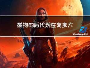 鬣狗的后代现在有多大年龄