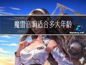 魔雷音响适合多大年龄的人