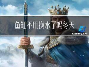 鱼缸不用换水了吗冬天