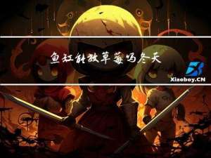 鱼缸能放草莓吗冬天