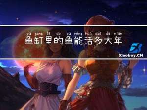 鱼缸里的鱼能活多大年纪