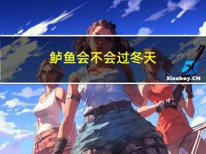 鲈鱼会不会过冬天