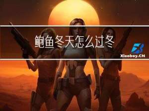 鲍鱼冬天怎么过冬