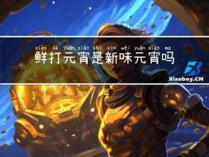 鲜打元宵是新味元宵吗