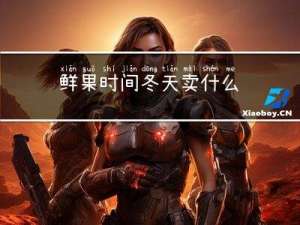 鲜果时间冬天卖什么