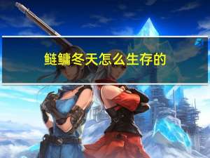 鲢鳙冬天怎么生存的