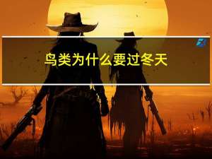 鸟类为什么要过冬天