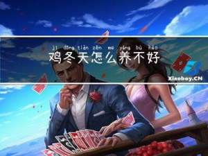 鸡冬天怎么养不好