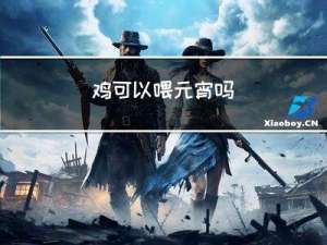 鸡可以喂元宵吗