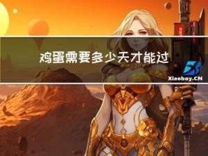 鸡蛋需要多少天才能过年
