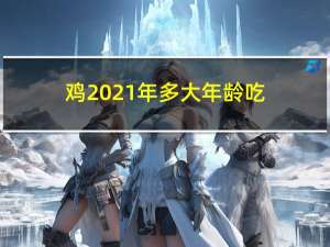 鸡2021年多大年龄吃