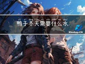 鸭子冬天需要什么水