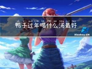 鸭子过年喝什么汤最好