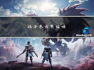 鸽子冬天繁殖吗