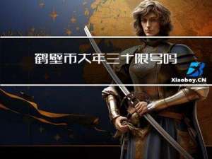 鹤壁市大年三十限号吗