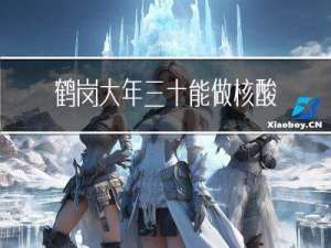 鹤岗大年三十能做核酸吗