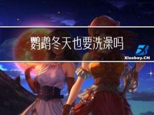 鹦鹉冬天也要洗澡吗