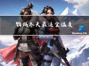 鹦鹉冬天最适宜温度