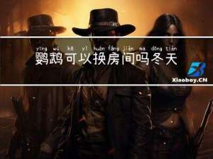 鹦鹉可以换房间吗冬天