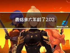 鹿晗多大年龄了2022