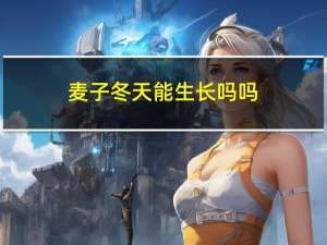 麦子冬天能生长吗吗