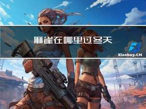 麻雀在哪里过冬天