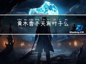 黄木香冬天有叶子么