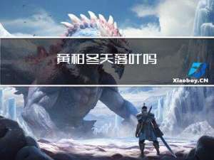 黄柏冬天落叶吗