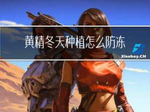 黄精冬天种植怎么防冻