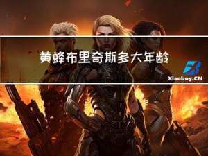 黄蜂布里奇斯多大年龄