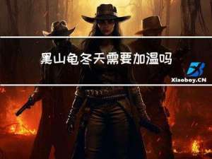 黑山龟冬天需要加温吗